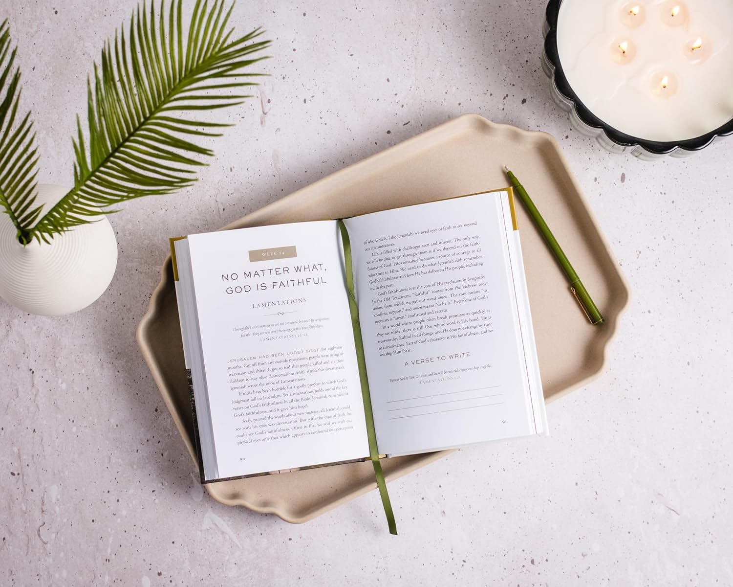 The Whole Story: a 52-Week Devotional Journey through Every Book of the Bible image number 6