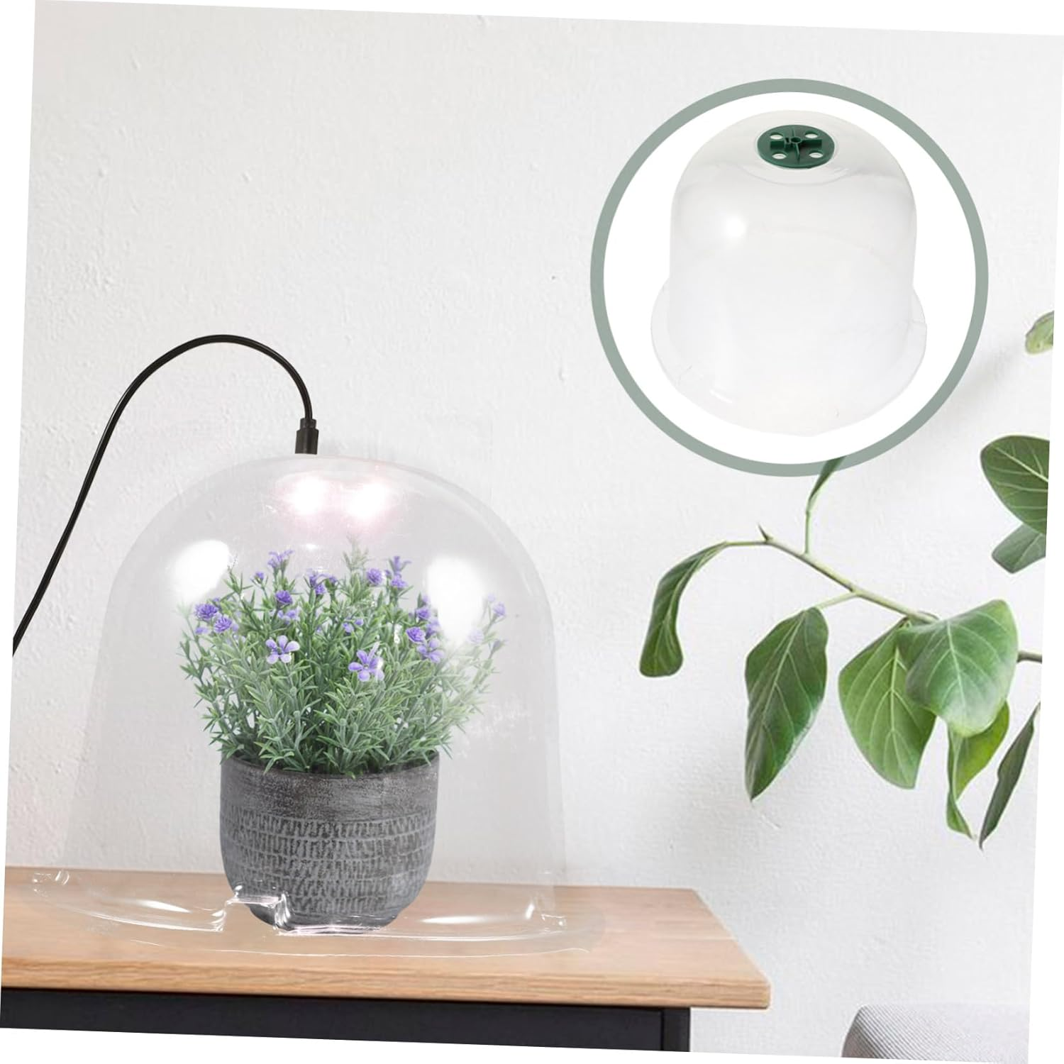 INOOMP 5Pcs Potted Plant Constant Temperature Cover Reusable Plant Dome for Greenhouse in Garden Humidity Domes image number 2