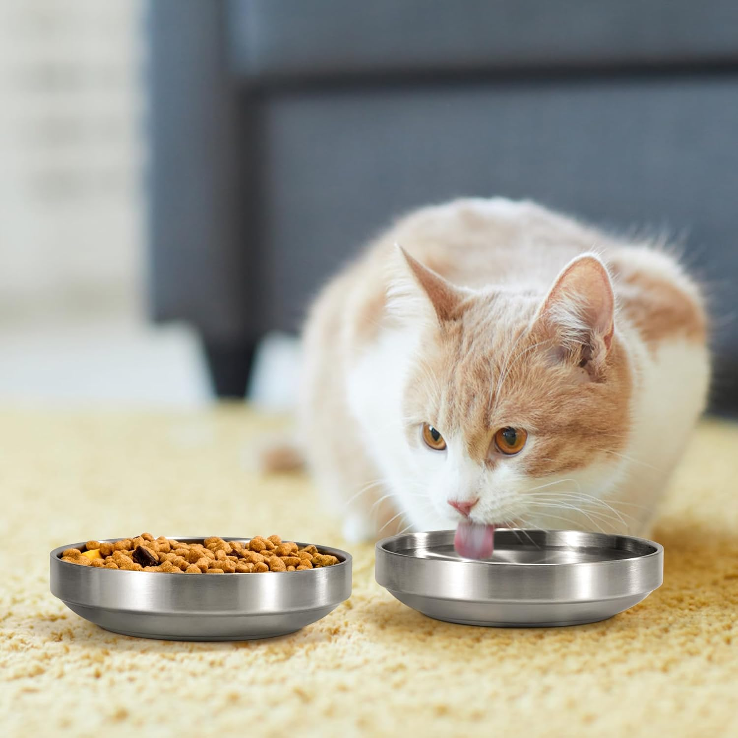Feeding Bowls for Cats Cat Bowl Made of 304 Stainless Steel Cat Bowl Flat Feeding Bowl for Kittens Small Dogs 2 Pieces image number 4