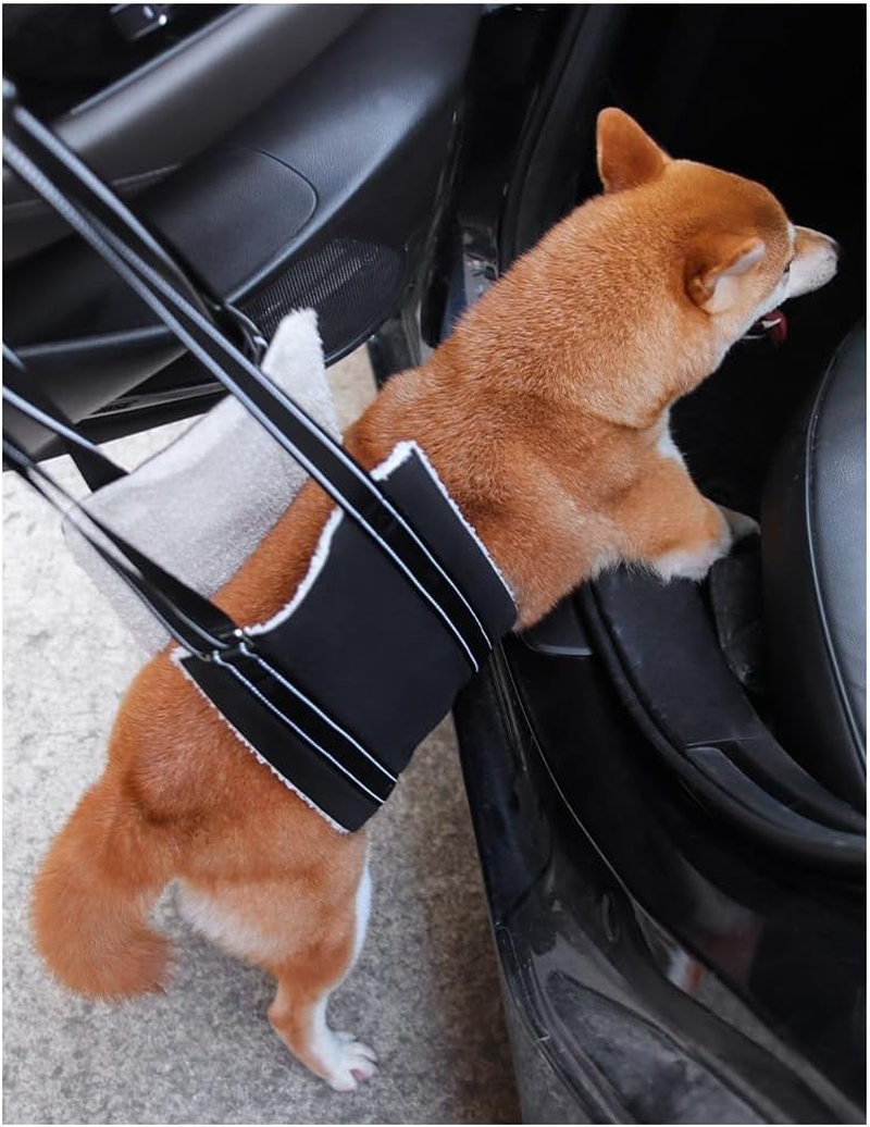 Dog Sling for Large Dogs Hind Leg Support- Dog Lift Harness with Handle for Lifting Back Legs,Portable Dog Sling Carrier (Black, L)