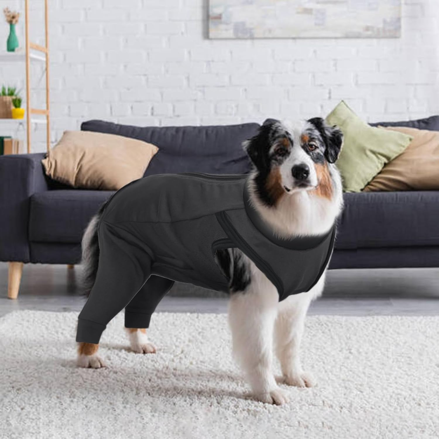 Lelepet Dog Recovery Suit for Front Legs, Dog Sleeve to Stop Licking, Elbow Protector for Leg Injuries Shoulder Wounds after Surgery Male Female,Zippered Long-Sleeved Shirt Cone Alternative(S-3Xl) image number 5
