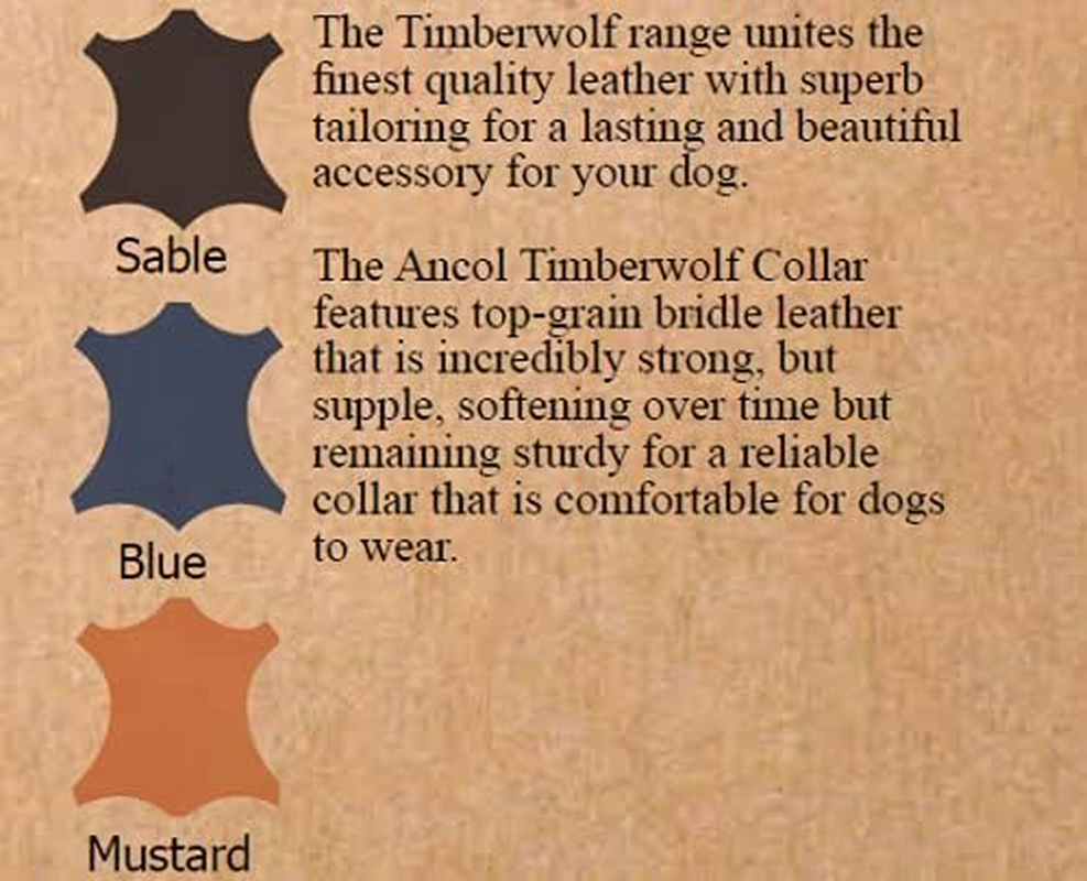 Ancol Timberwolf Leather Dog Lead, 1 M, Blue image number 6