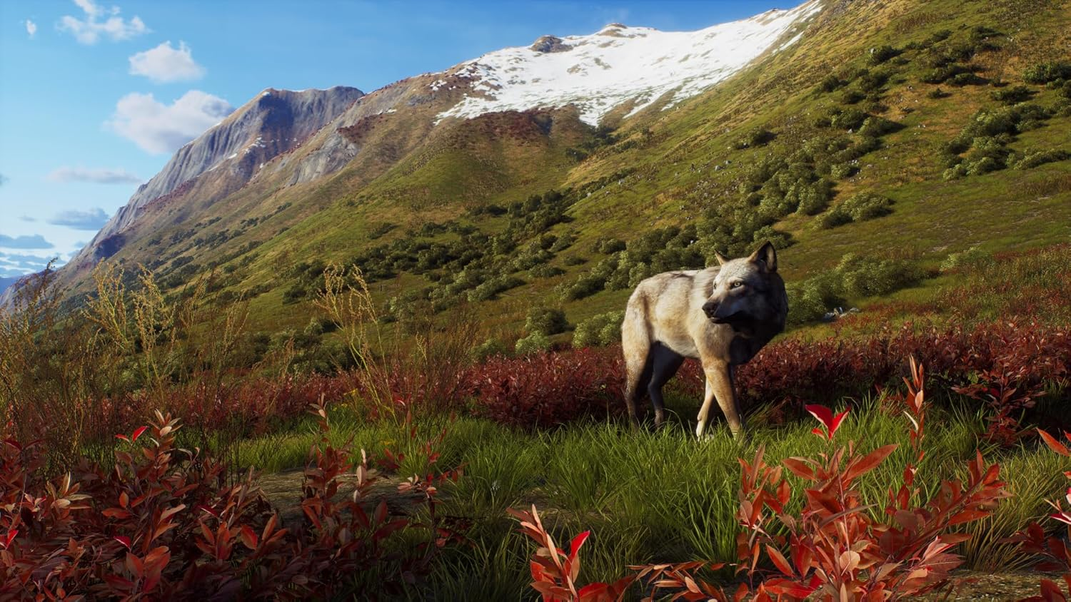 Way of the Hunter - Wild Expeditions /PS5 image number 2