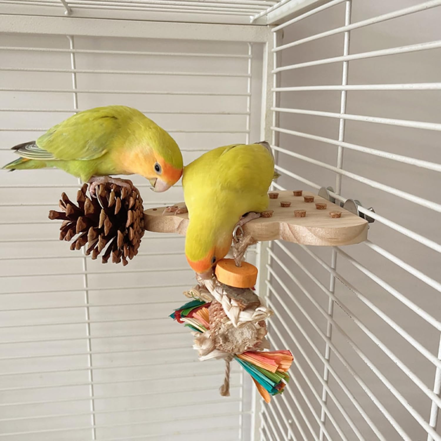 Bird Chew Toys - Shredding Toys Parrots Chewing Hanging|Natural Soft Sola Ball Beak Chew Shred Forage Toy for Parrots|Cockatiel|Conure|Parakeets| and Other Small Birds|Edible Seagrass Woven Clim image number 1
