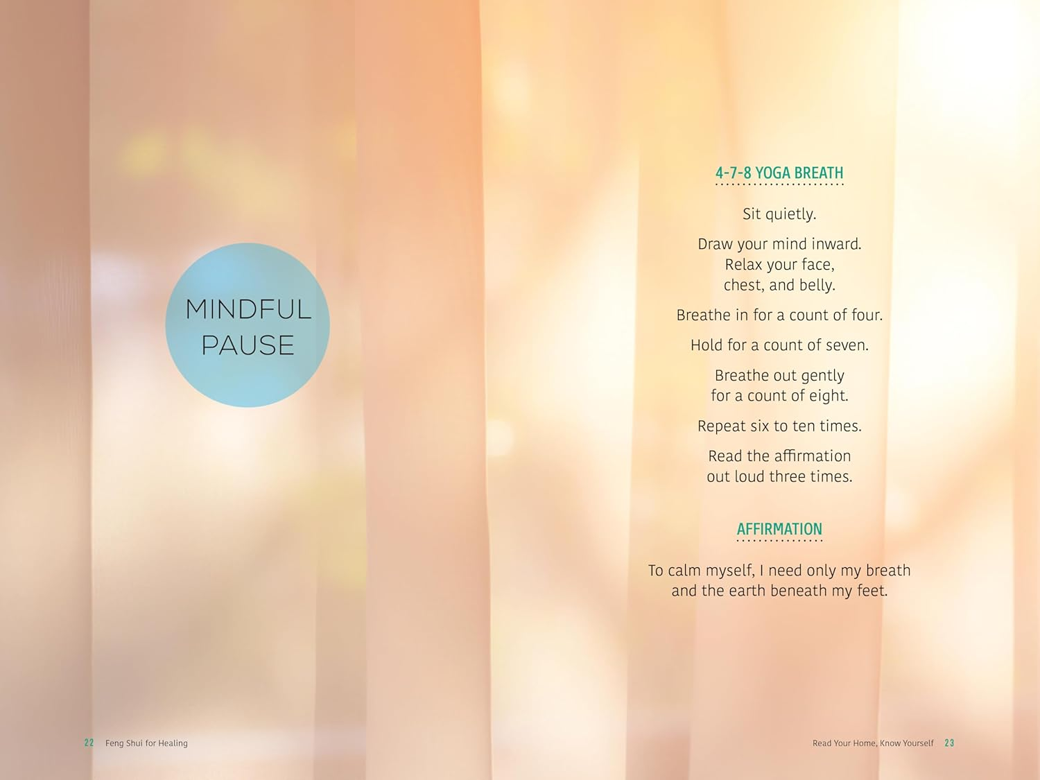 Feng Shui for Healing: a Step-By-Step Guide to Improving Wellness in Your Home Sanctuary image number 5