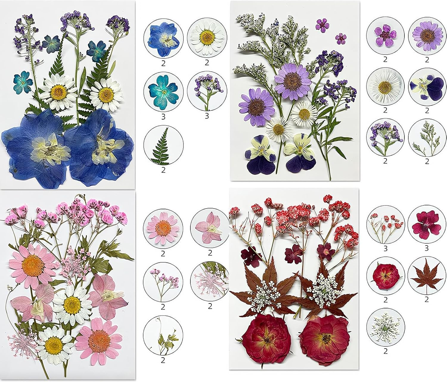 REGODI 96Pcs（8 Sheets） Dried Pressed Flowers & Leaves for Crafts - Natural Dry Flowers for Resin Art, DIY Jewelry, Candle & Soap Molds, Phone Case Decor (Pressed Flowers, Dried Flowers Crafts) image number 3