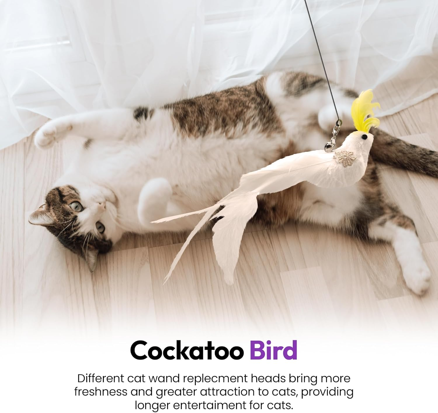 PURRZ Feather Toy Attachments for Cats, 5-Pack &ndash; Natural Cockatoo-Like Bird Feather Refills for Interactive Cat Play &ndash; Safe and Durable Indoor Cat Toys image number 5