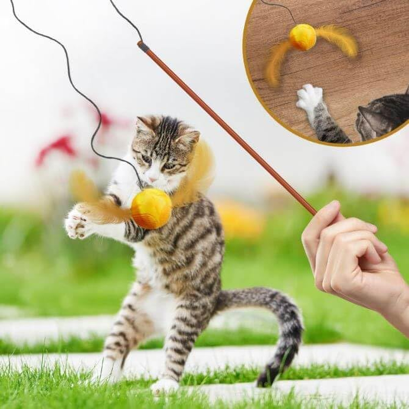 Paladone Harry Potter Catch the Snitch Cat Toy &ndash; Officially Licensed Golden Snitch Pet Toy, Interactive Cat Toy for Wizarding World Fans and Pet Owners image number 1