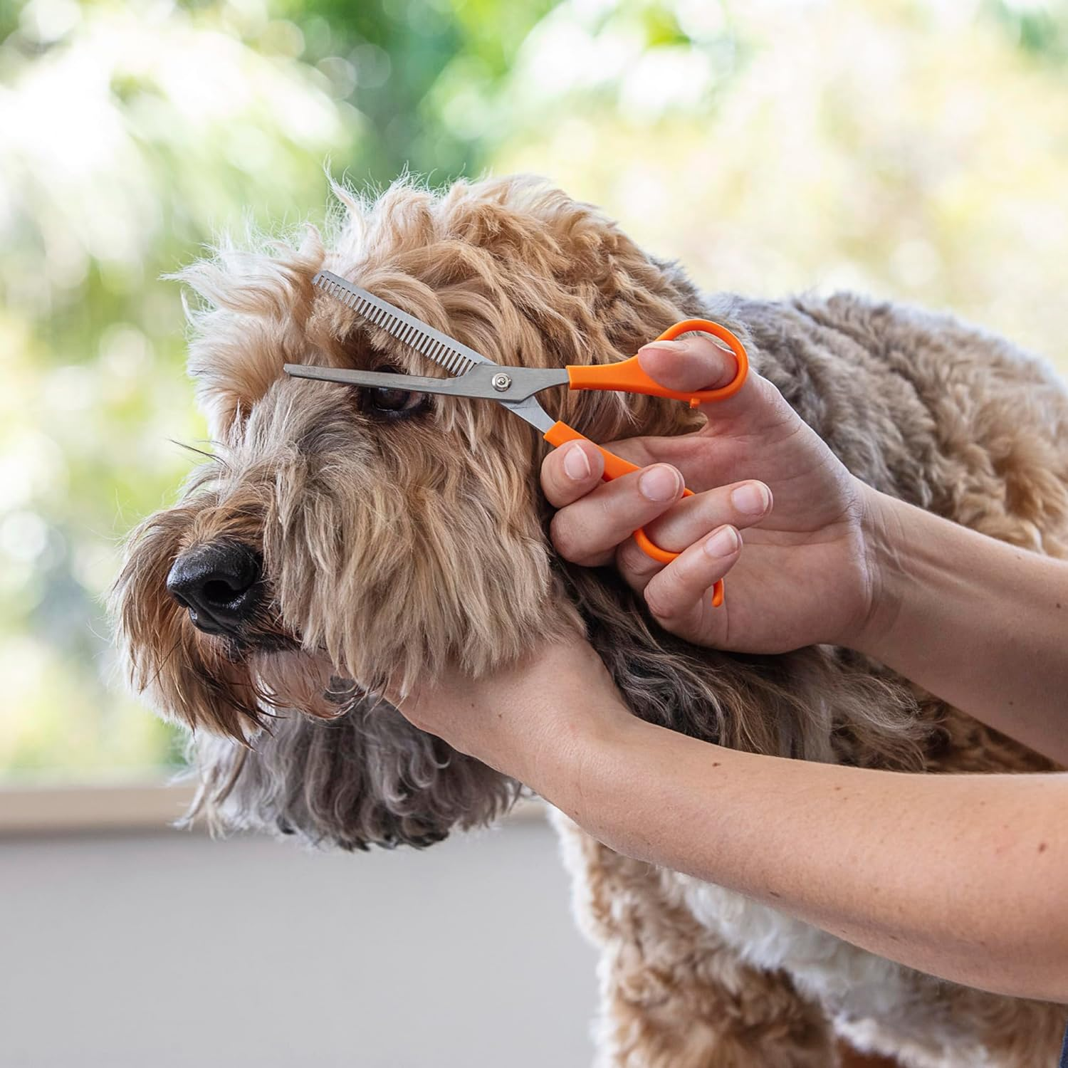 Wahl Thinning Scissors for Dogs, Orange/Silver image number 1