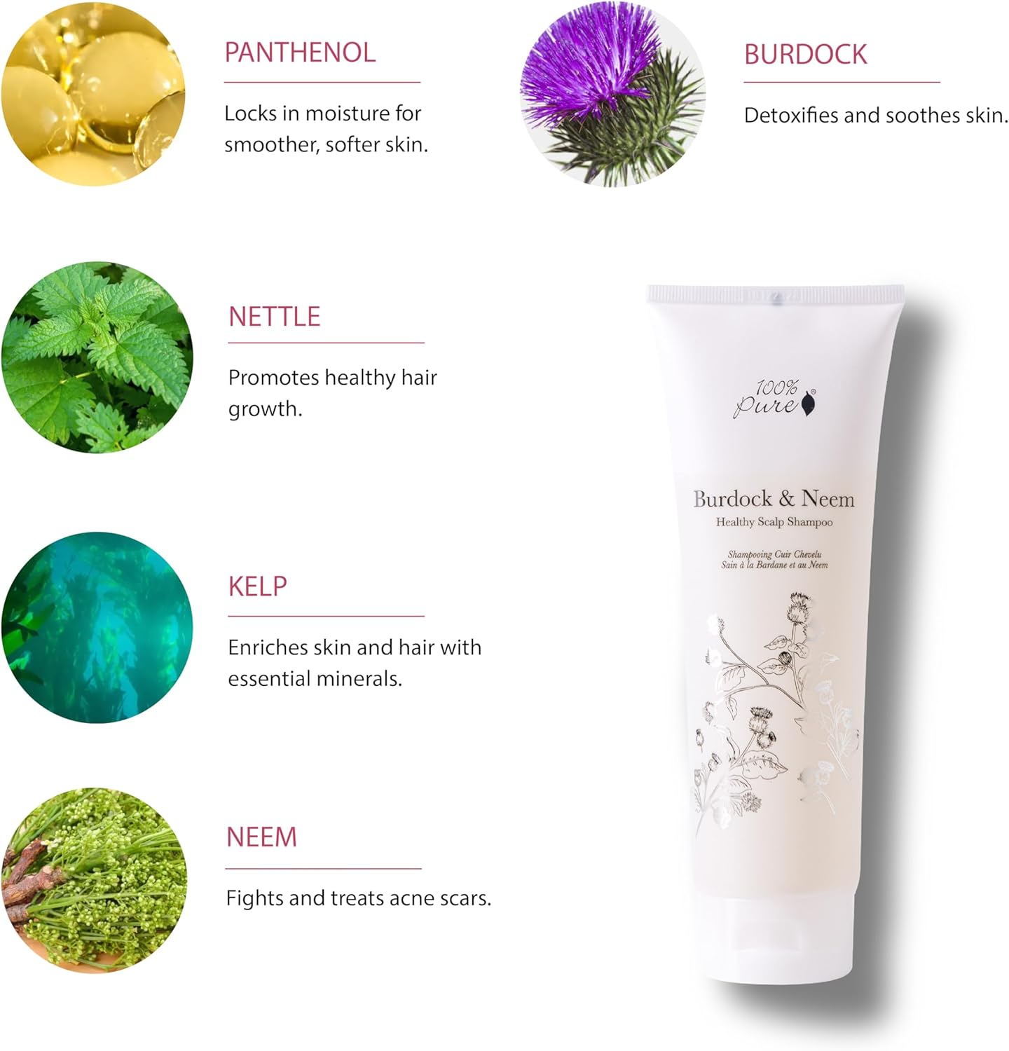 100% PURE Burdock & Neem Healthy Scalp Shampoo (8 Fl Oz), Sulfate-Free Shampoo for Dry, Itchy, Flaky Scalp, Dandruff Shampoo, Made with Coconut Oil, Vitamin E image number 2