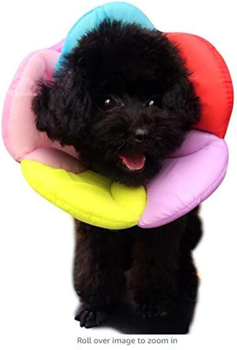 Hotumn Pet E-Collar after Surgery Elizabethan Collars Breathable Recovery Dog Cone Dogs Training Cone Collar Soft Edge for Cats Small Dogs Easy to Clean (Small, Multicolour) image number 5
