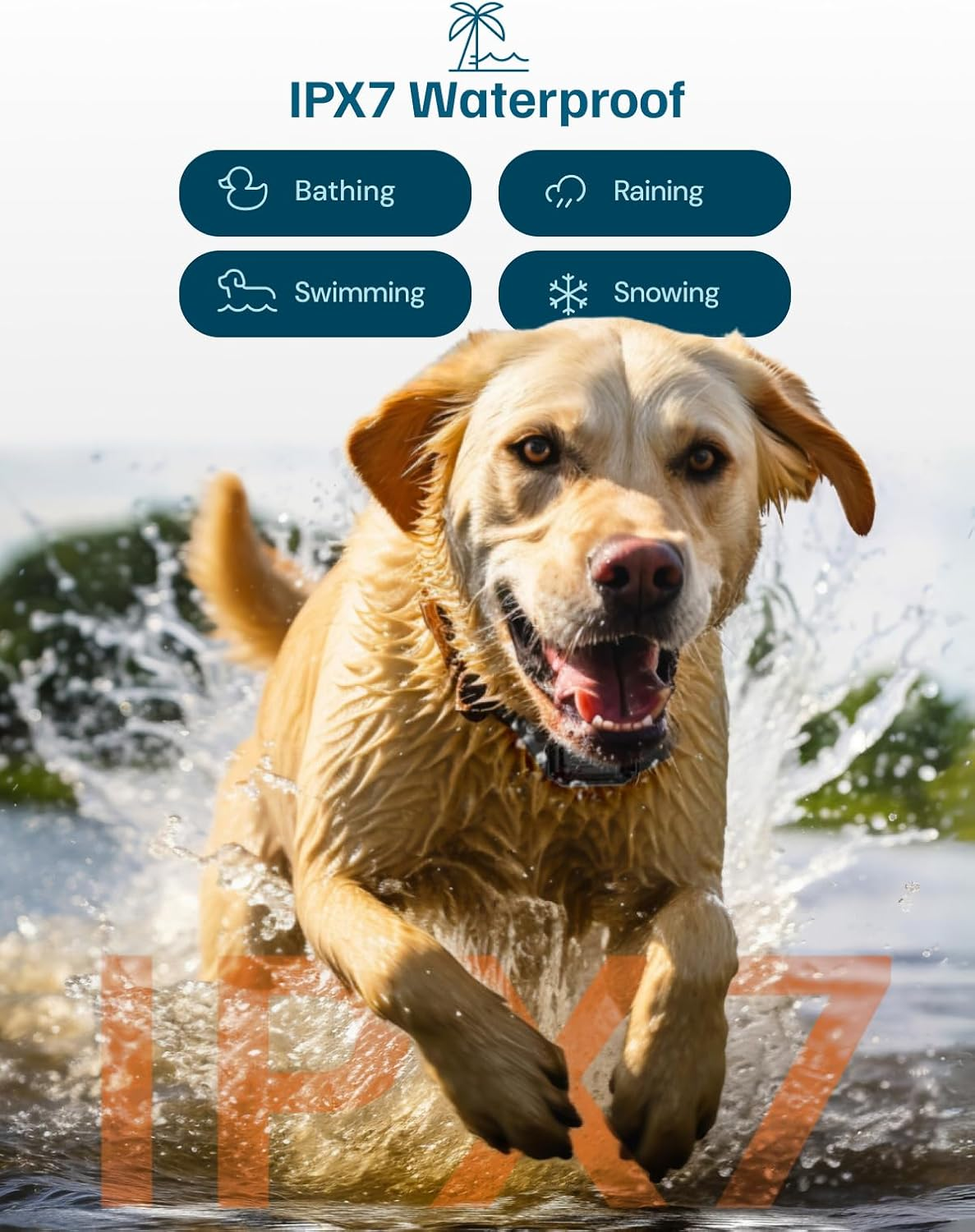 Anti Bark Collar for Dog Training: Barktec Bark Collars with Remote Control 2000Ft 3 Modes Beep Vibration Shock Dual Channel Waterproof Rechargeable Adjustable for Large Medium Small All Dogs image number 5