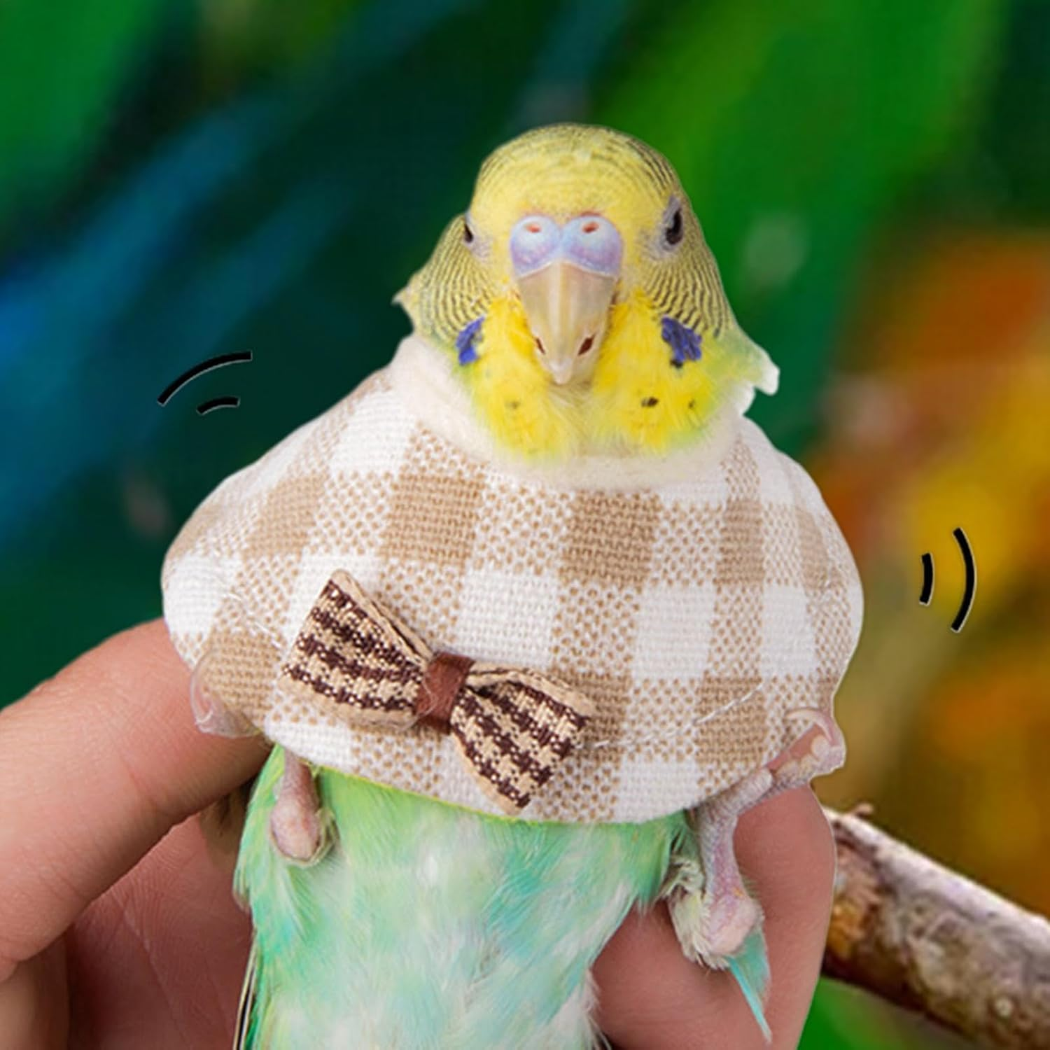 Rissunkv Pet Parrot Anti-Bite Collar, Comfortable Parrot Recovery Collar, Pet Bird Supplies Neck Cover for Cockatiels, Conures, Lovebirds or Parakeets image number 6