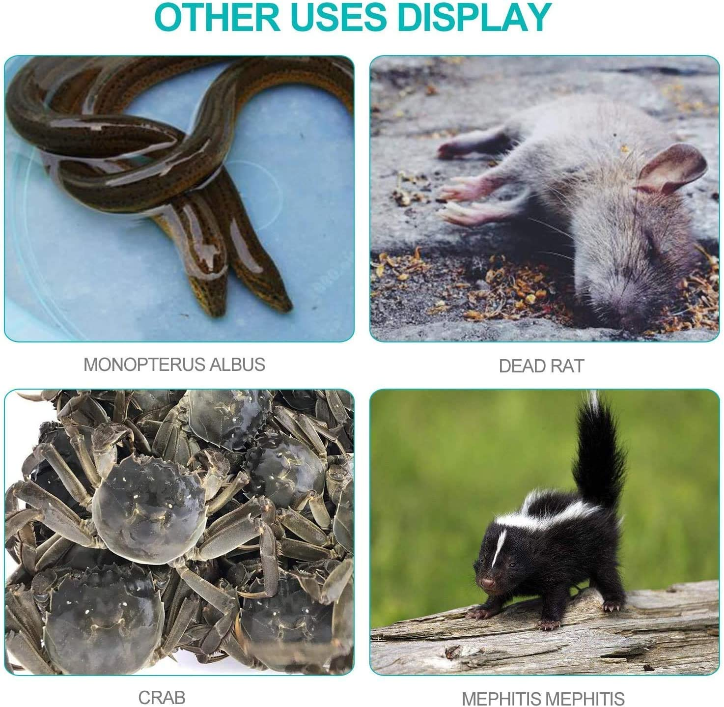 Anrain 47" Extra Heavy Duty Snake Tongs Reptile Grabber Catc image number 3