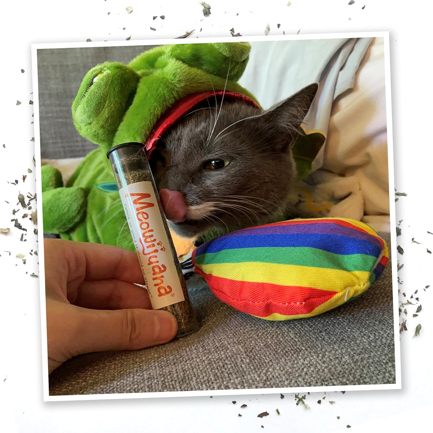 Meowijuana | Get a Rise Bundle | Get a Rise Refillable Balloon Toy and Cloud 9 Catnip Blend | Promotes Play and Cat Health | Includes Organic Catnip image number 6