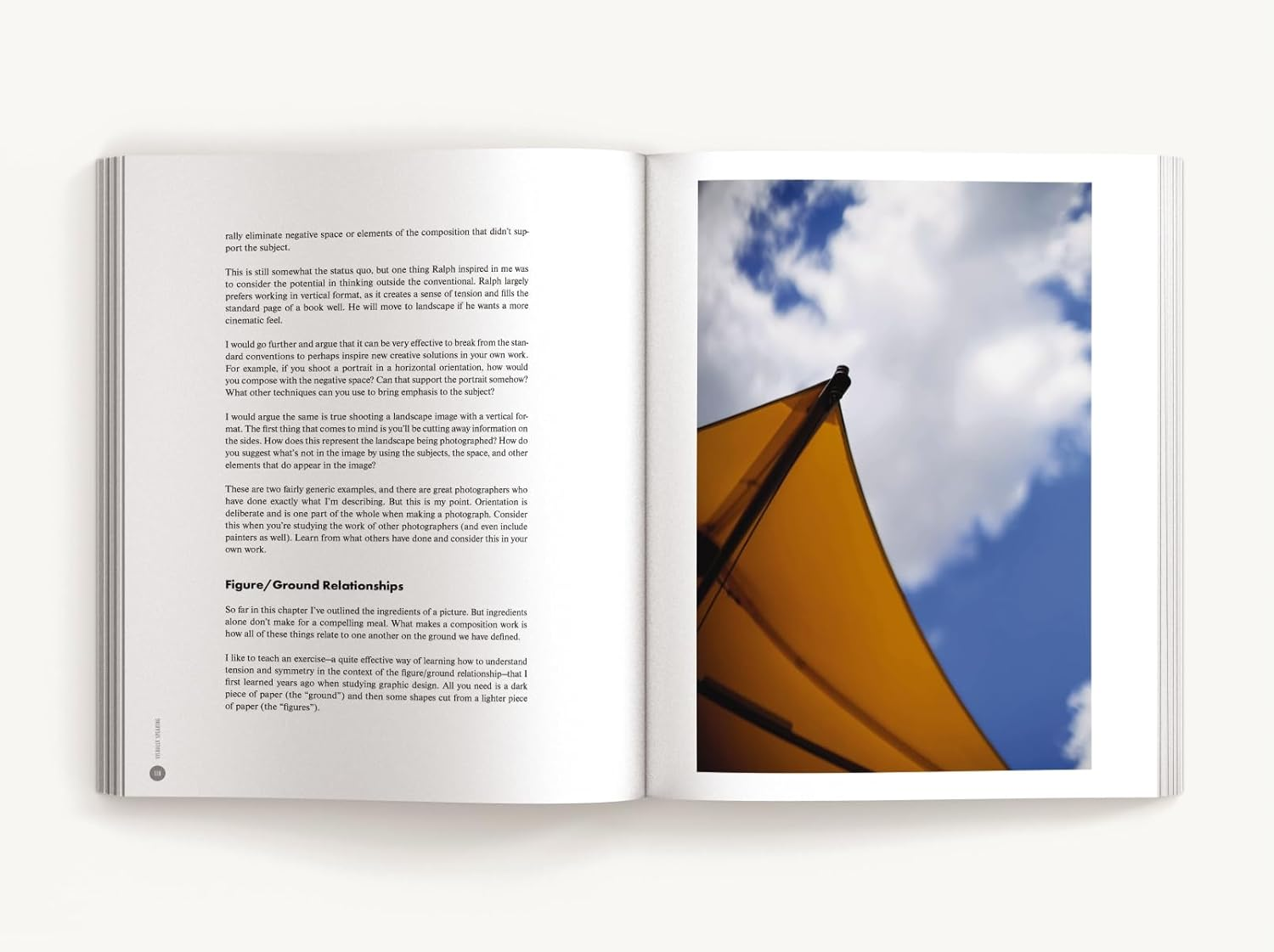 Visually Speaking: Mastering Photography as a Visual Language image number 6