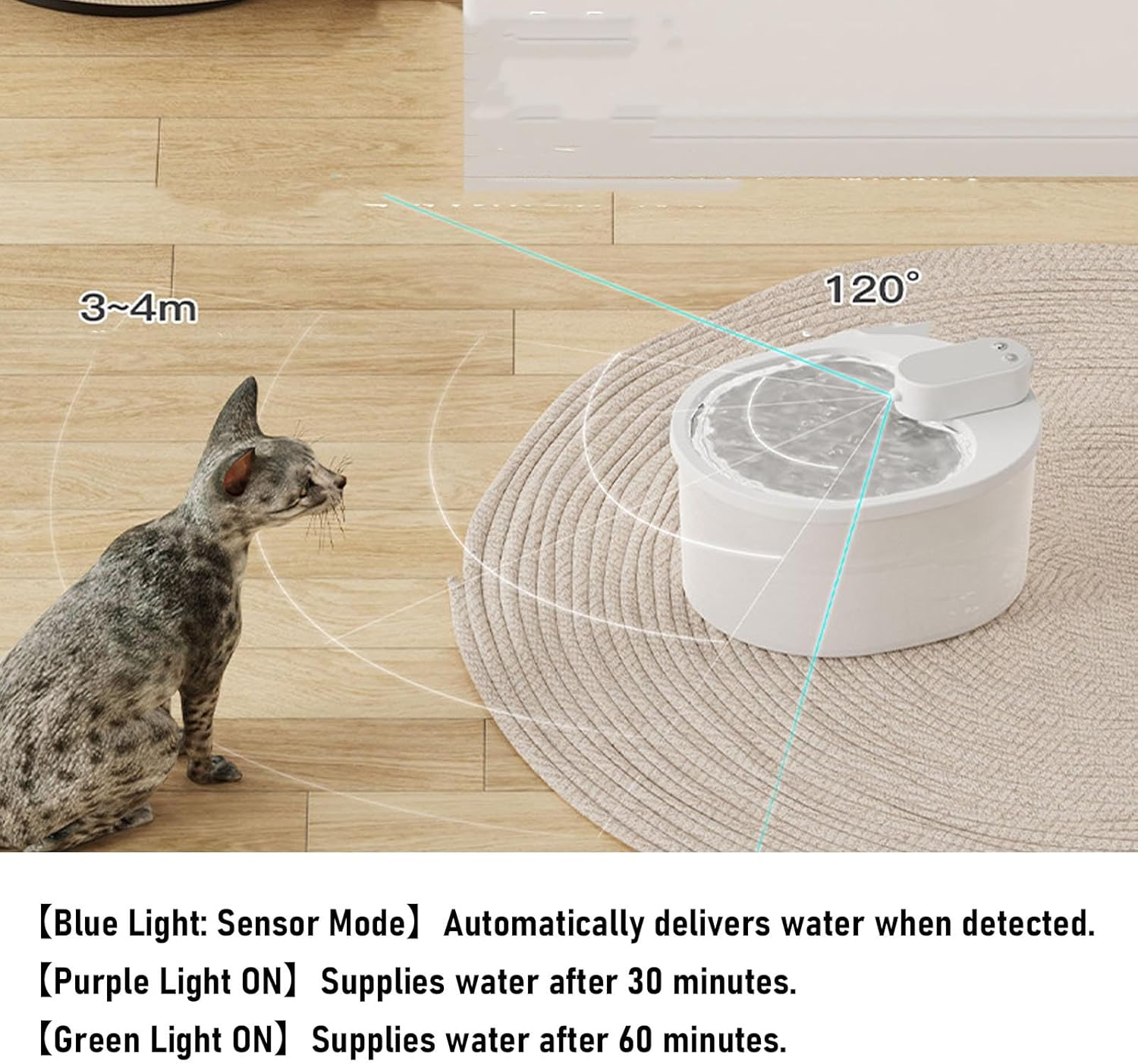 Generic Cat Water Fountain, 2.5L Automatic Pet Water Fountain Quiet Circulating Dog Dispenser with Filters, Easy Cleaning Drinking for Cats, Dogs Small Animals