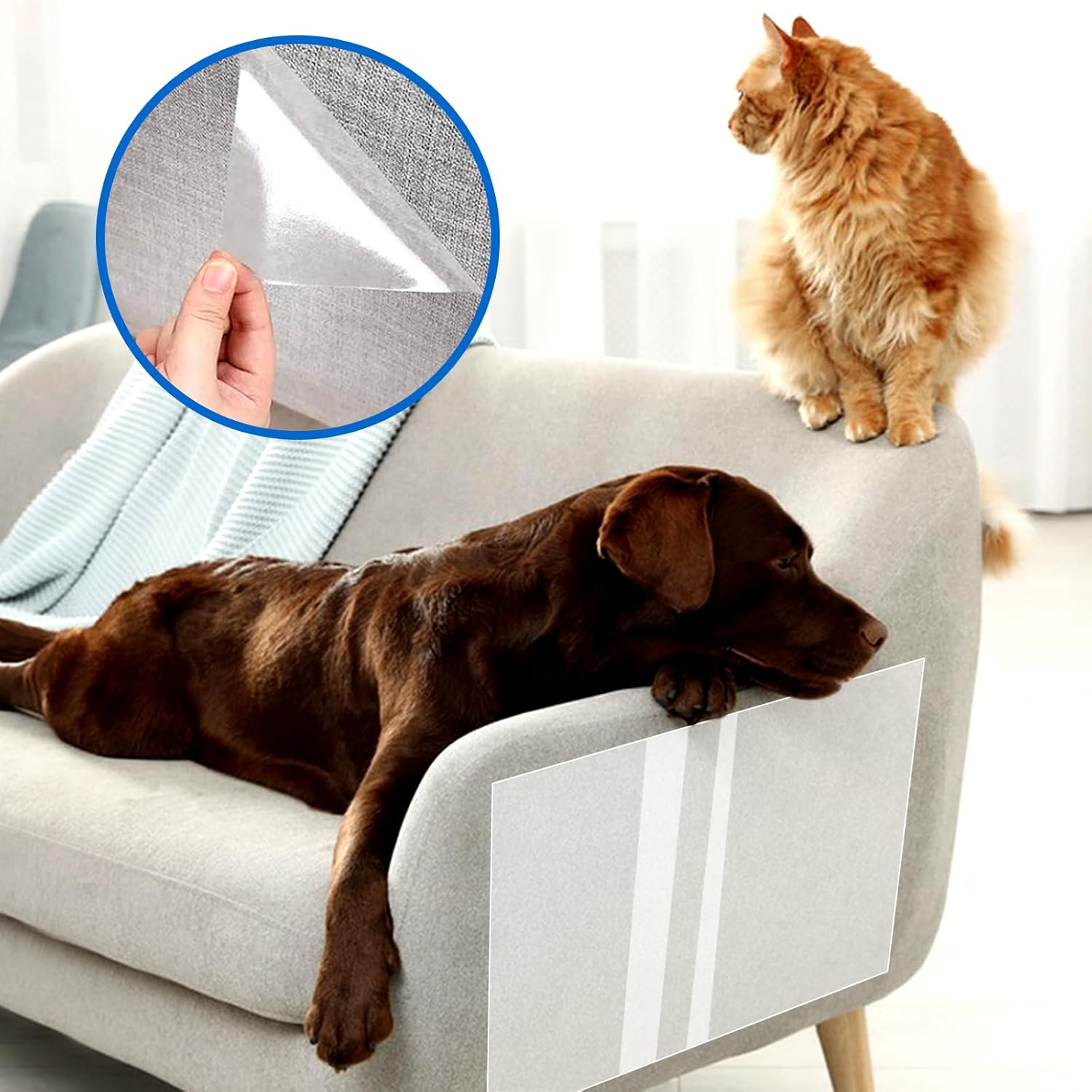 Cat Scratch Protection, Pack of 12 Sofa Scratch Protection Pad with Self-Adhesive Cat Scratch Protection Film, Double-Sided Scratch Pads for Cats for Sofa, Furniture, Door, Scratch Protection image number 2