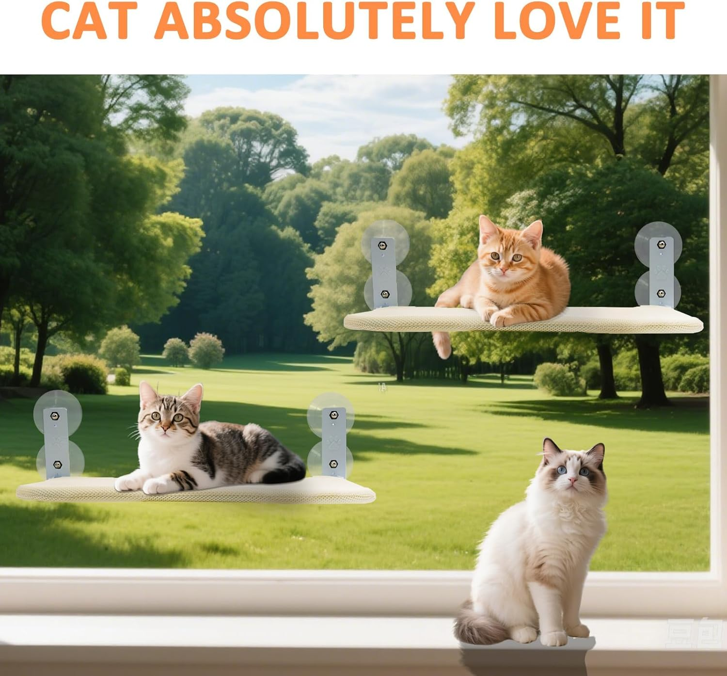 Cat Hammock, Foldable Cat Window Perch - Extra Large 52Cm Cordless Hammock with 4 Super Strong Suction Cups & Metal Frame image number 2