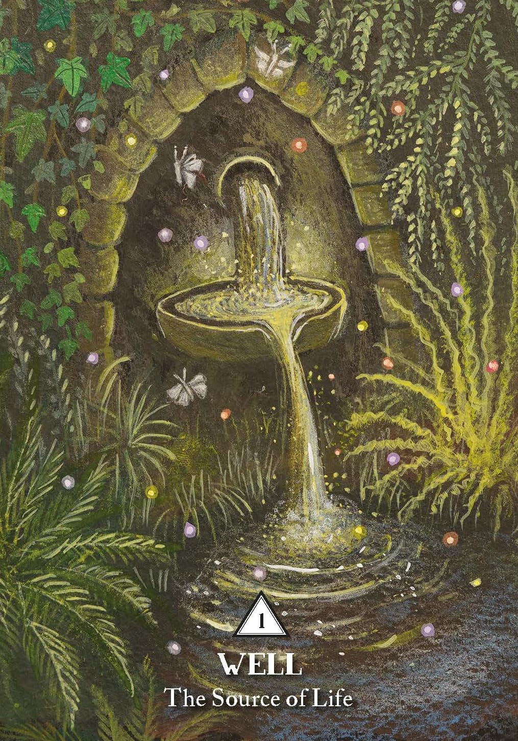 Rooted Woman Oracle; The: a 53-Card Deck and Guidebook image number 4