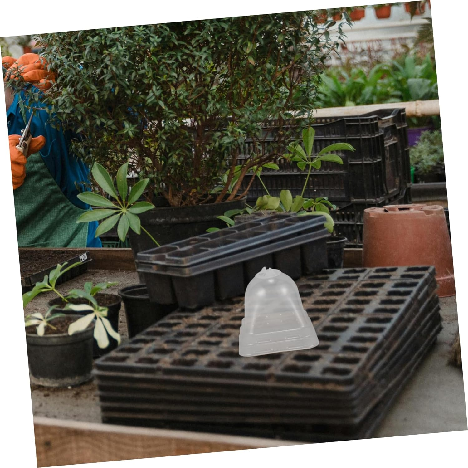 BESPORTBLE 6Pcs Plant Covers for Garden Plant Protectors Light Penetration Reusable for Frost Protection image number 4