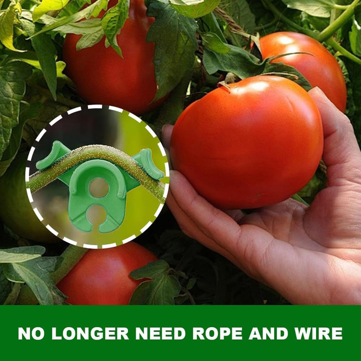 Plant Benders Plant Training Bending Clip Plant Trainer for Low Load,50Pcs Plant Bender Low Pressure Training Plant Bender Low-Stress Training Clip,Plant Bender Plant Training Clip Plant Training Clip