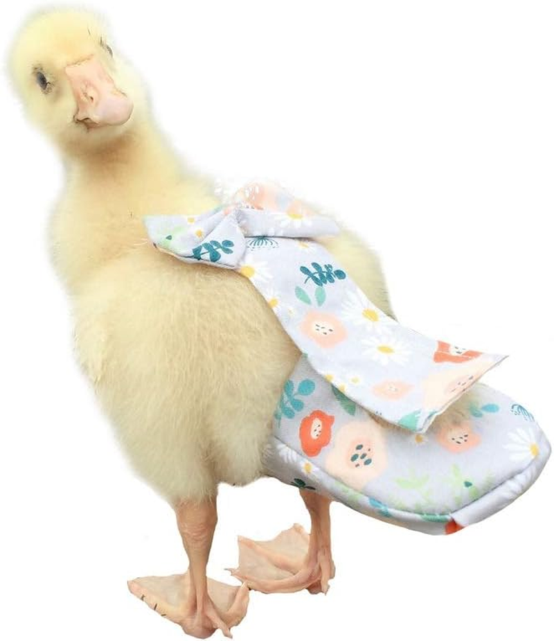 Poultry Diapers - Waterproof, Adjustable, Washable and Reusable for Chicken, Duck and Goose - Poultry Supplies (9Xl:4000G-5000G) image number 4
