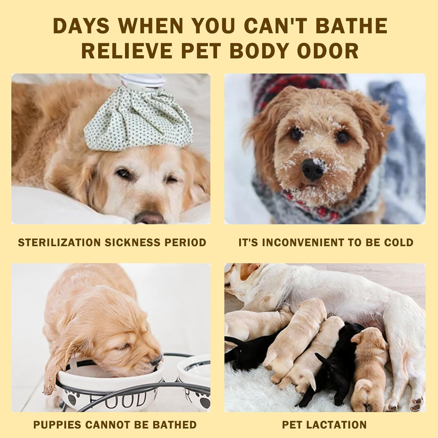 CHEUNGHAO 10 Count Pet Cleaning Gloves &ndash; No Rinse Grooming Wipes for Dogs & Cats &ndash; Cleaning Gloves for Fur, Face, Ears, Paws and Eyes &ndash; Deodorizing,Waterless Pet Bath Wipes for Easy Grooming and Care