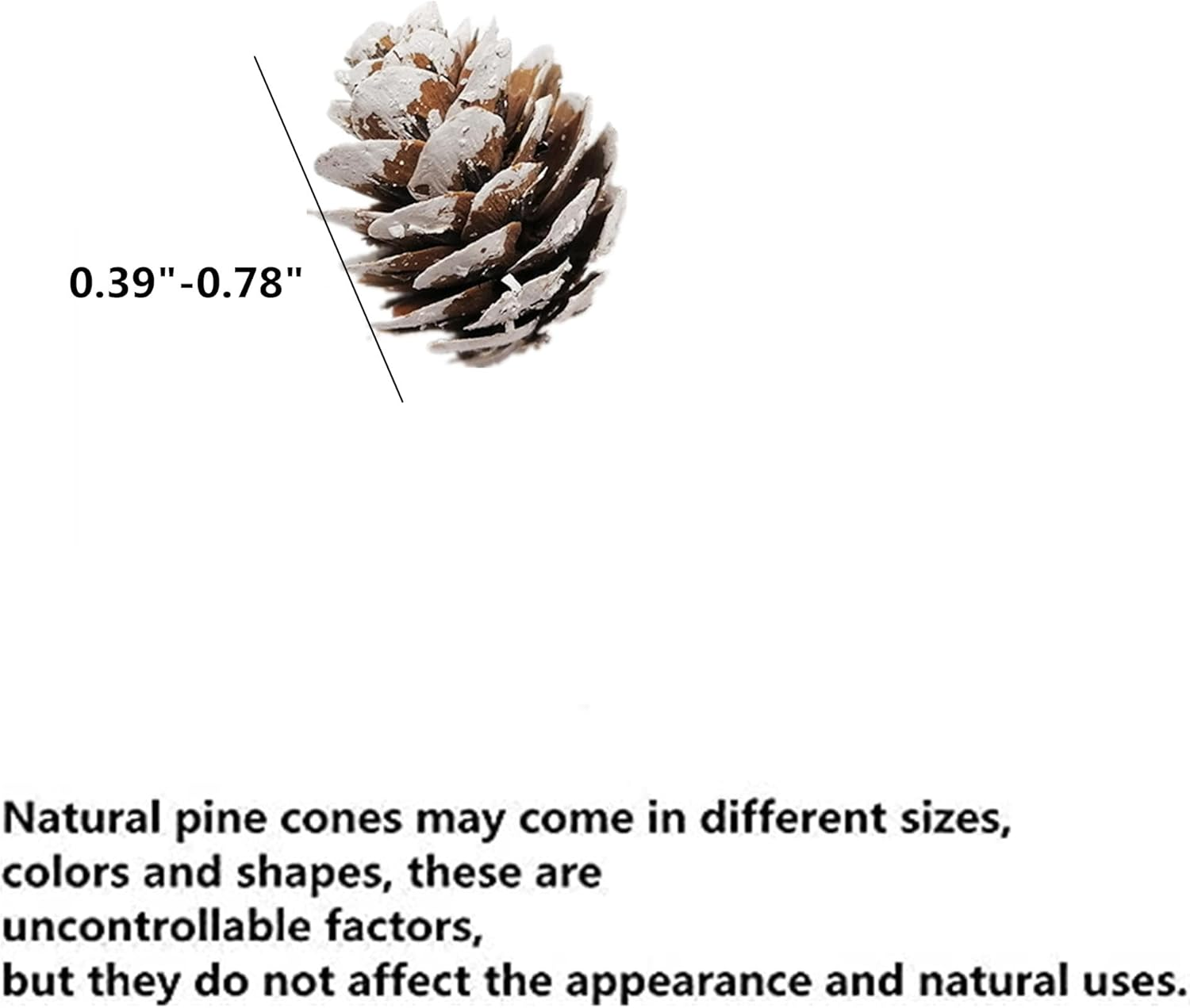 180 PCS Rustic Mini Pine Cones, White Christmas Snow Pinecones Ornaments,Wood Frosted Pine Cone Ornaments for Thangksgiving, Christmas, Autumn, Home, Party,Decorations,Diy Crafts and Gifts image number 3