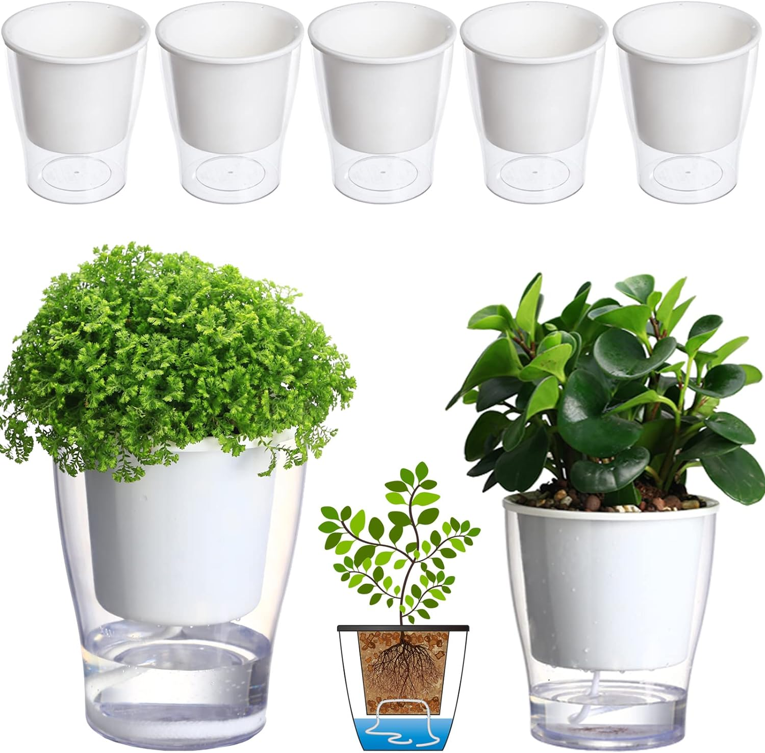 5-Pack 4.3 Inches Clear Self-Watering Planters Small African Violet Pots Plastic Plant Pots Wicking Flower Pots for Indoor Plants, Herbs, African Violet, Ocean Spider Plant, Orchid Pot, Garden Pots image number 3