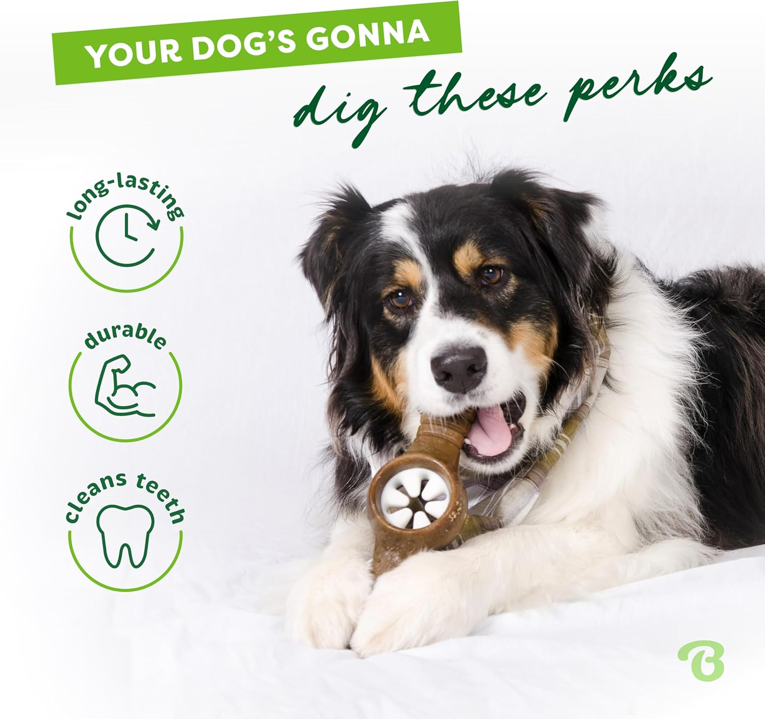 Benebone Pawplexer Interactive Treat Dispensing Tough Dog Puzzle Chew Toy, Made in USA, Small, Real Bacon Flavor image number 4