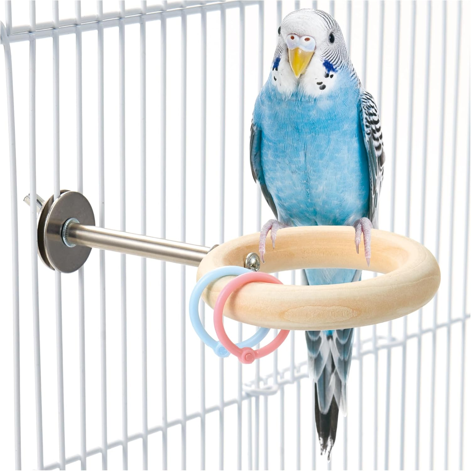 Minimal Land MB-439 Small Bird Ring Set of 2 with Charms, Camera Compatible, for Birds image number 1