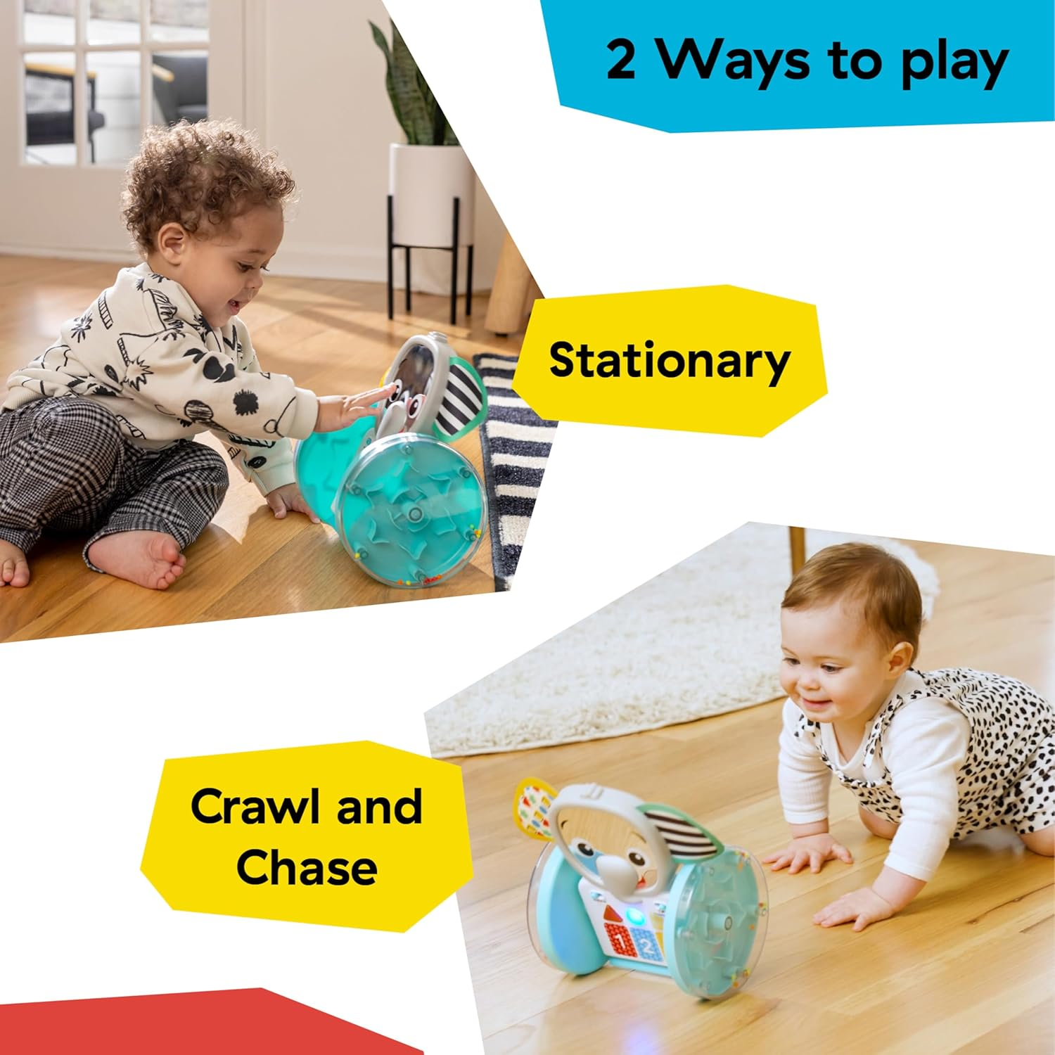 Baby Einstein Chase & Tap Earl Crawling Baby Toy, with Mirror and Music, Ages 6 Months and Up