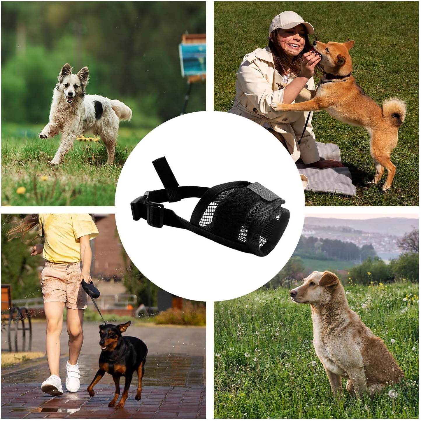 Ally-Magic Small Muzzle for Dogs, Muzzle with Fastening, Soft, Prevents Biting, Pack of 2 Soft Adjustable Mesh Muzzles for Small and Medium Dogs E25-GZT image number 2