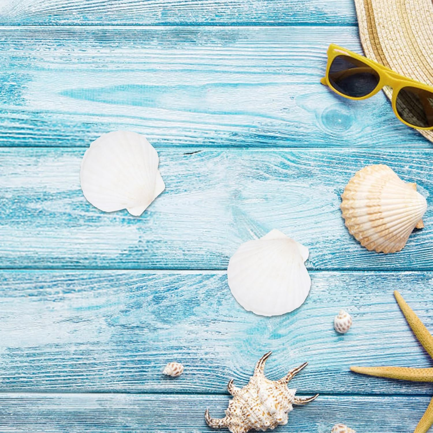 NOLITOY 40 Pcs Natural Shell Decoration Ocean Ornaments Sea Shell Christmas Ornaments Nautical Party Favors Desk Topper Scallop White Decorations Seashells for Crafts Bead Large Seaside image number 2