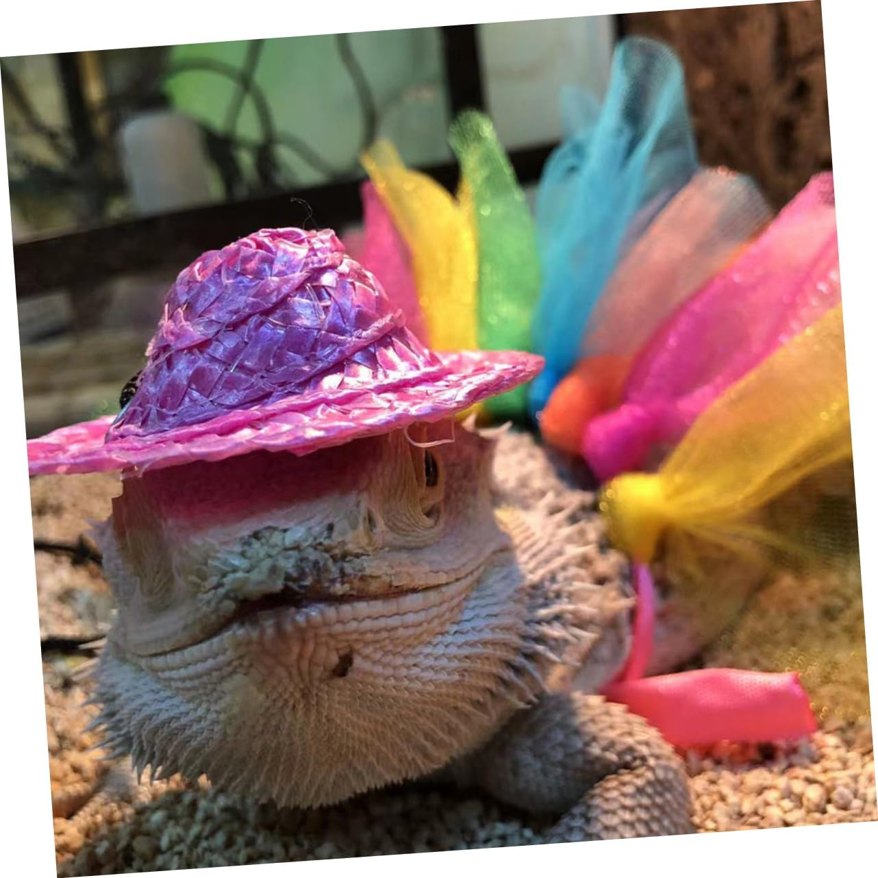 Yardwe 1Set Chameleon Dress up Colorful Hat Skirt Outfit for Lizards Comfortable Pet Costume for Daily Wear Special Occasions and Photoshoots