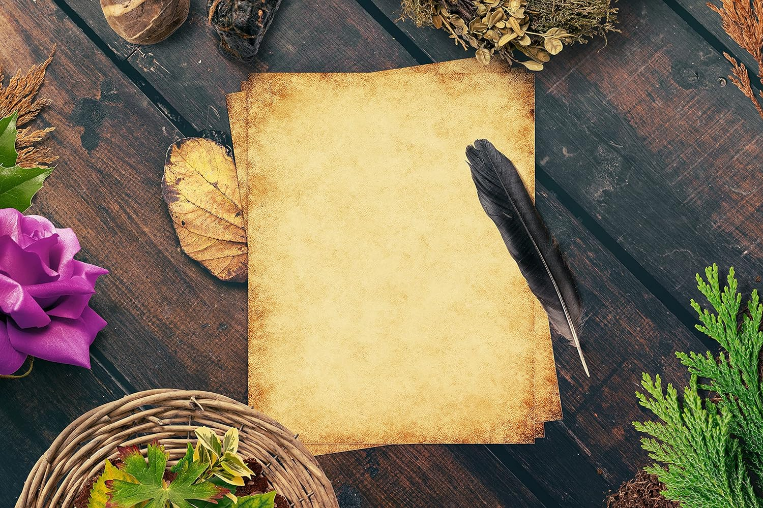 Better Office Products Stationery Paper, 100 Sheets, Aged Look Vintage Antique Old Fashion Parchment Paper, Letter Size 8.5 X 11 Inch, Double Sided Printing Paper, By, 6 Designs, 100 Pack image number 2