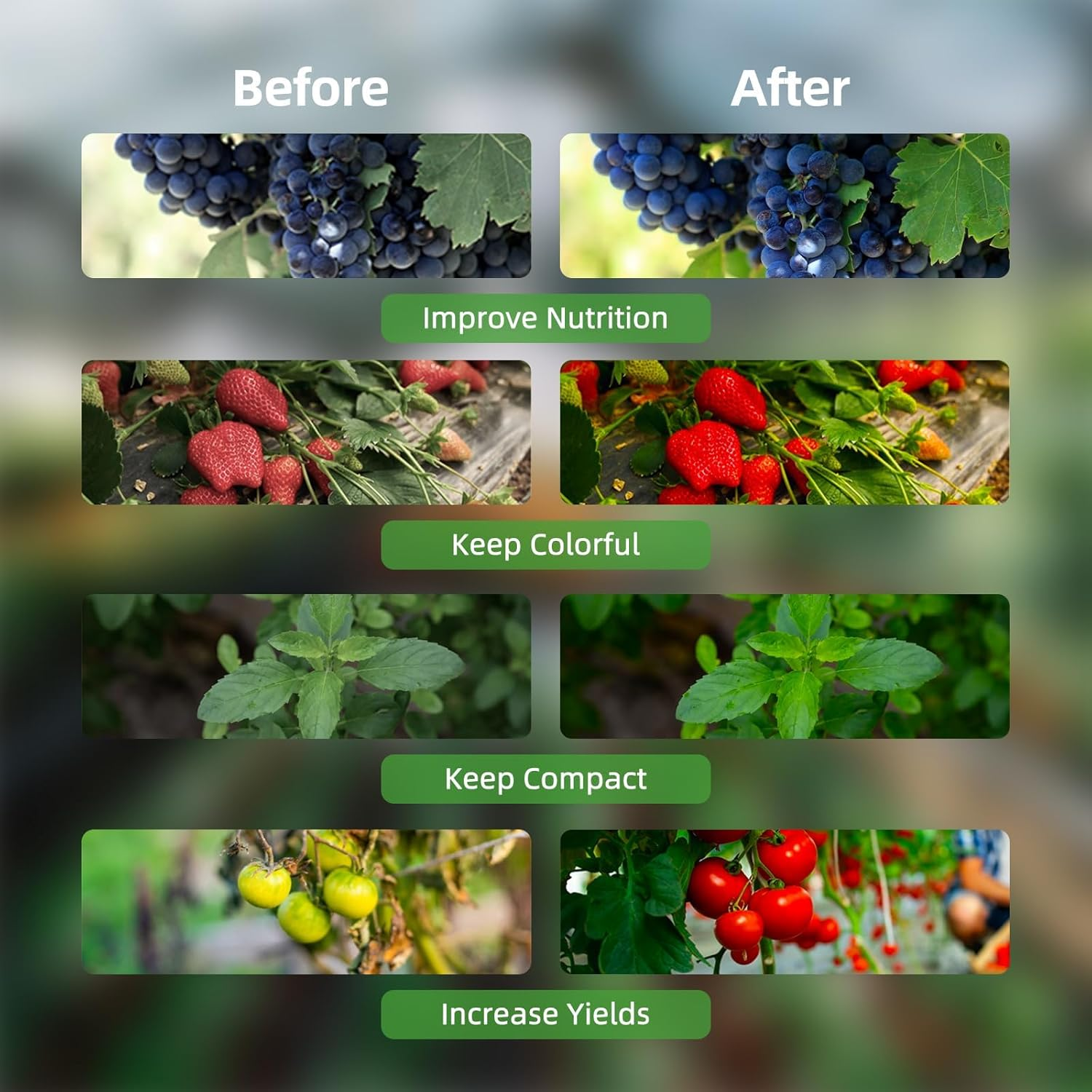 Mingzhe LED Grow Lights with Full Spectrum Clip Plant G G Lamp with Red Blue LED for Indoor Plants 10-Level Dimmable with 3/9/12H Timer 4-Head image number 3