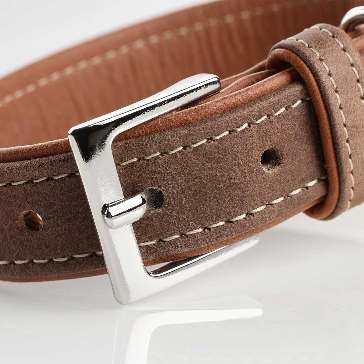 Hunter PORTO Dog Collar with Olive Leaf Tanned Premium Leather, Environmentally Friendly and Sustainable image number 5