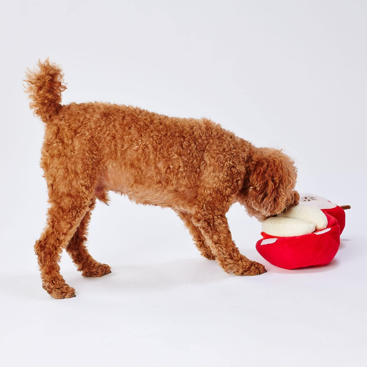 ADD. Mate Dog Toy, Big Fruit, Apple image number 3