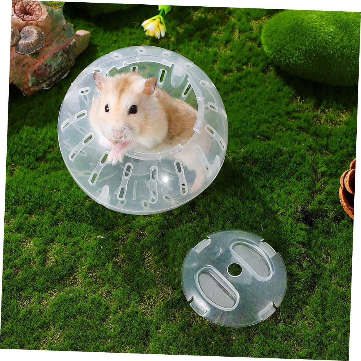 FONDOTIN Reducing Boredom for Your Pet: 2 Pack Lizard Toy Sports for Small Animals Silent Hamster Wheel image number 1