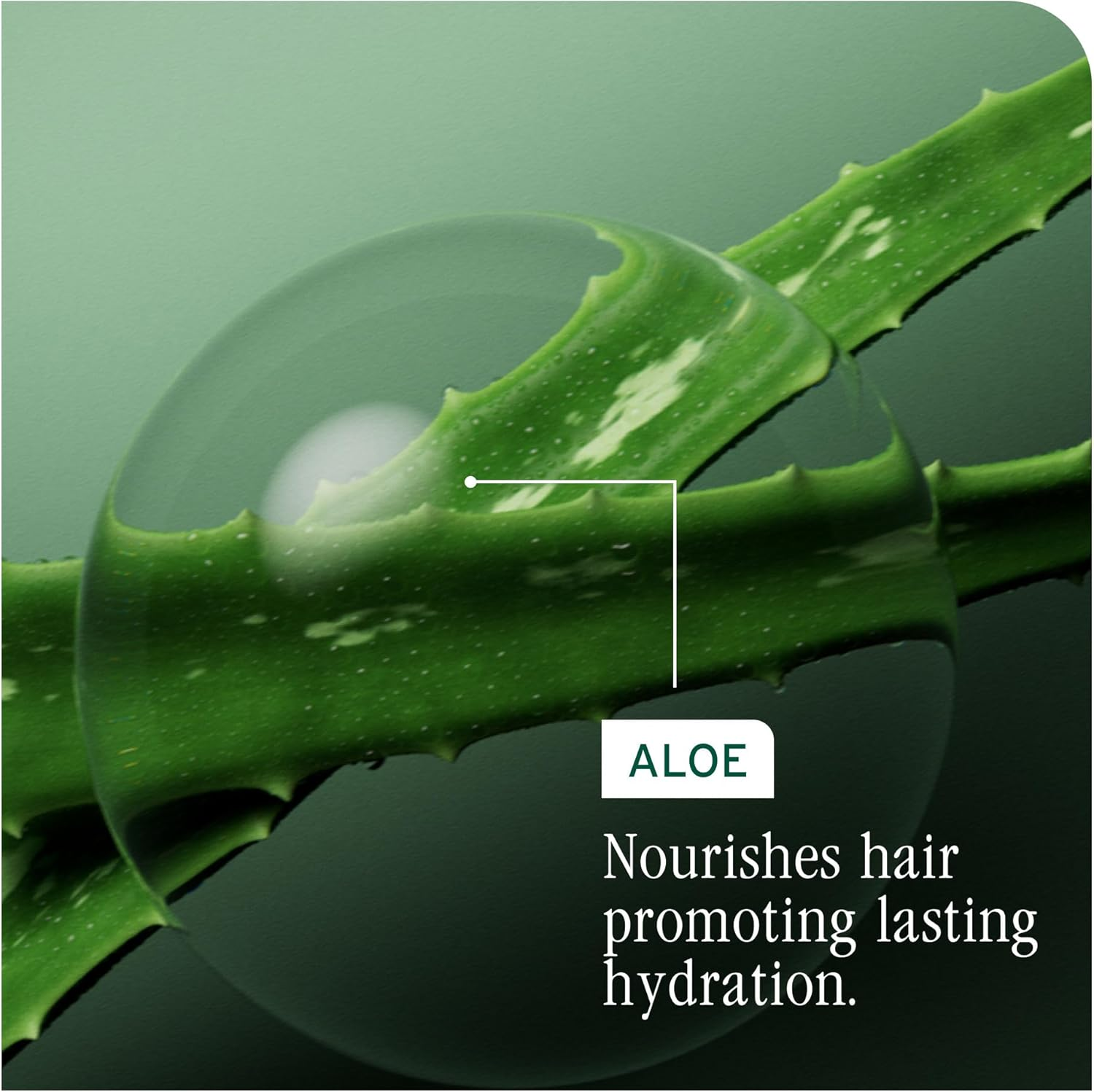 Biolage Hydrasource Detangling Solution for Dry Hair, 33.8 Fl. Oz. image number 1