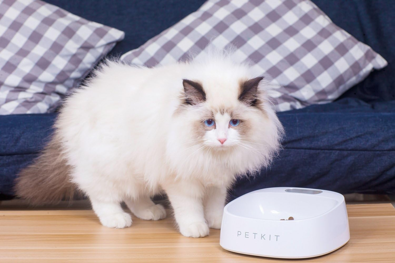 Petkit SAB1WH Fresh Smart Bowl for Dog, White image number 3