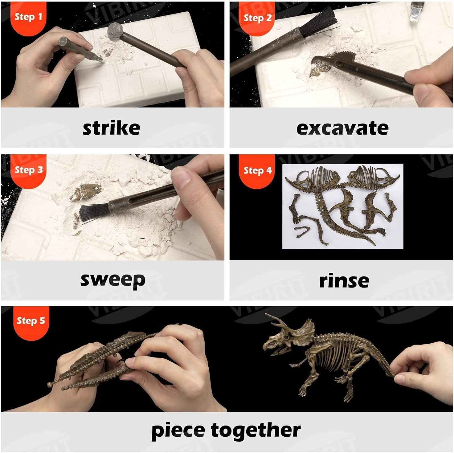 Dinosaur Fossil Digging Kit for Kids and Adult, STEM Science Dinosaur Fossil Dig Kit for Paleontology and Archeology Enthusiasts, Realistic Dig up Dinosaurs Skeleton Set Educational Toys image number 5