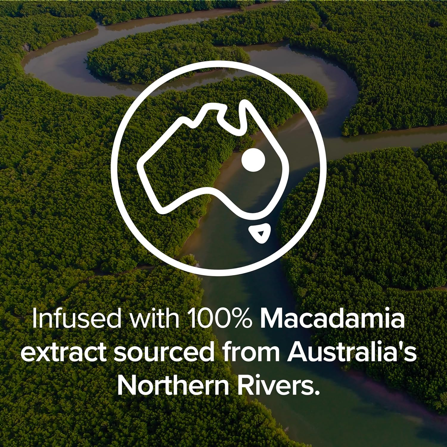 Palmolive Luminous Oils Hair Conditioner, Northern Rivers Macadamia, Argan & Camellia, 350Ml, Strengthen and Protect image number 6