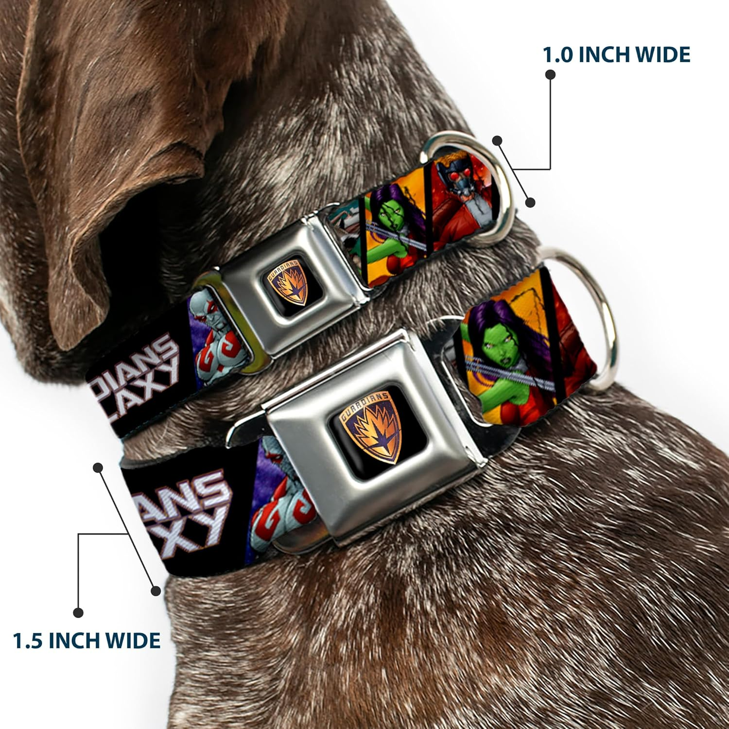 Buckle-Down Seatbelt Buckle Dog Collar - Guardians of the Galaxy 5-Character Pose Blocks - 1" Wide - Fits 9-15" Neck - Small image number 6