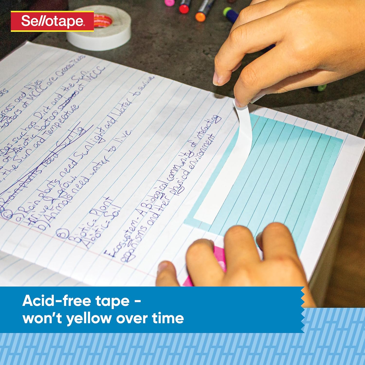 Sellotape Double-Sided Tape, 12Mm X 10M, Blister Card, Surface-Safe, Strong Adhesion, Removable Backing, Acid-Free, Ideal for Mounting, Crafts, and Photos image number 3