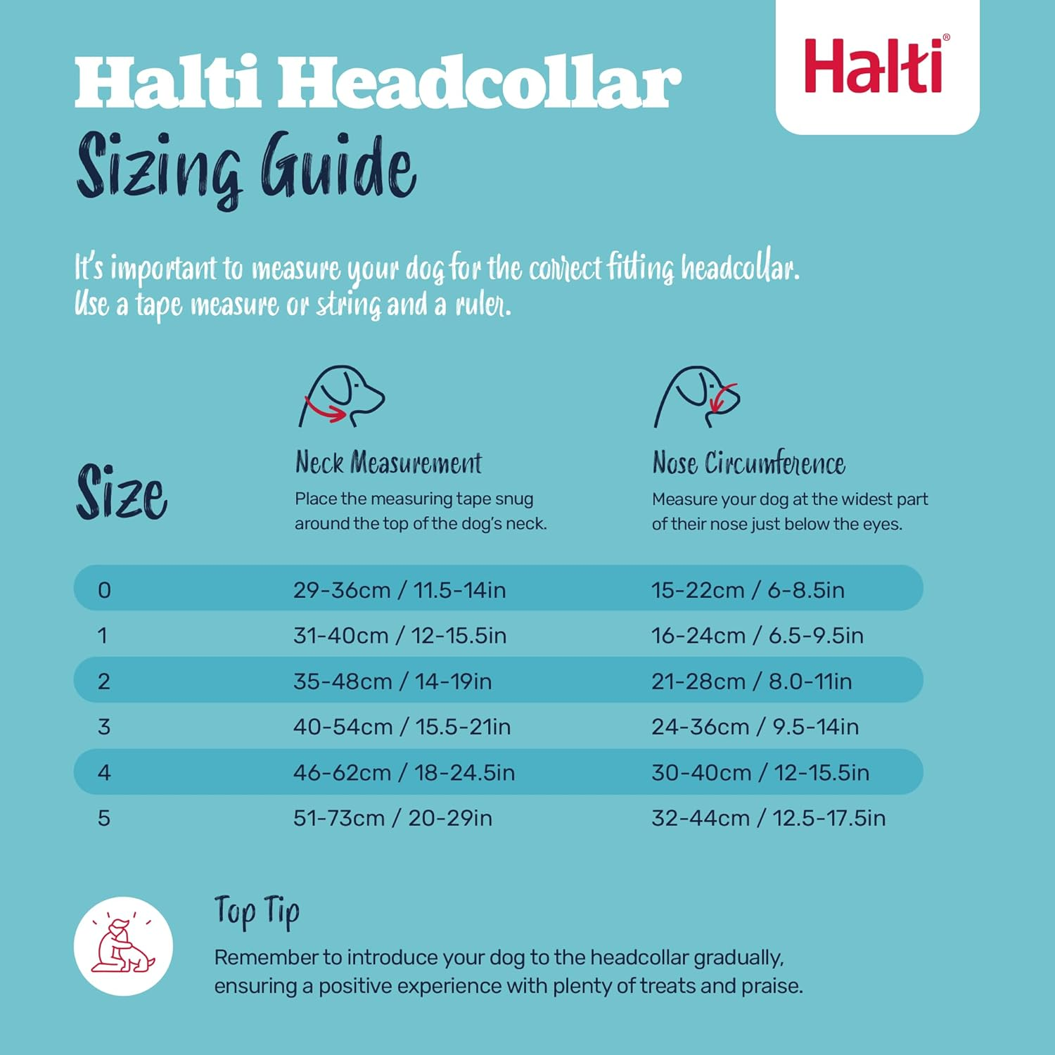 Halti Dog Training Headcollar, Red image number 4