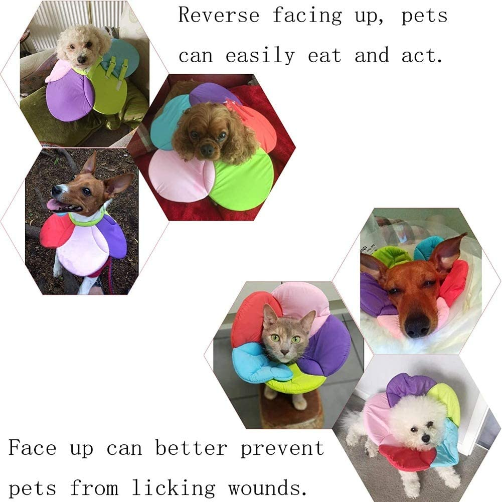 Hotumn Pet E-Collar after Surgery Elizabethan Collars Breathable Recovery Dog Cone Dogs Training Cone Collar Soft Edge for Cats Small Dogs Easy to Clean (Small, Multicolour) image number 2
