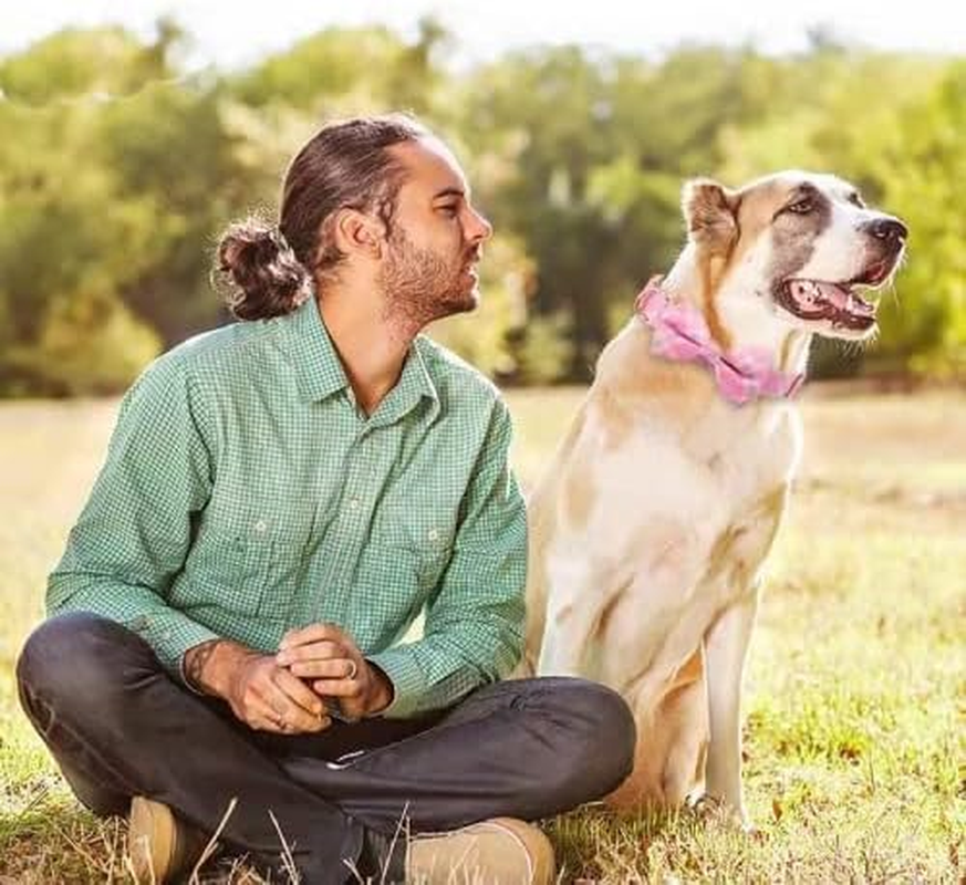 Dog Collar and Cat Collar with Bowtie, Adjustable Bow Tie Dog Collar with Safety Locking Buckle, Soft & Comfy Bowtie Dog Collar for Gift image number 5